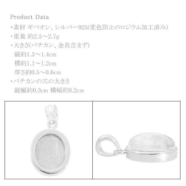 隕石 ギベオン メテオライト シルバー ペンダントトップ オーバル