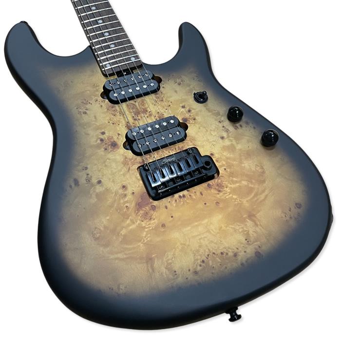 STERLING by Musicman Richardson6 Natural Poplar Burl Burst Cutlass