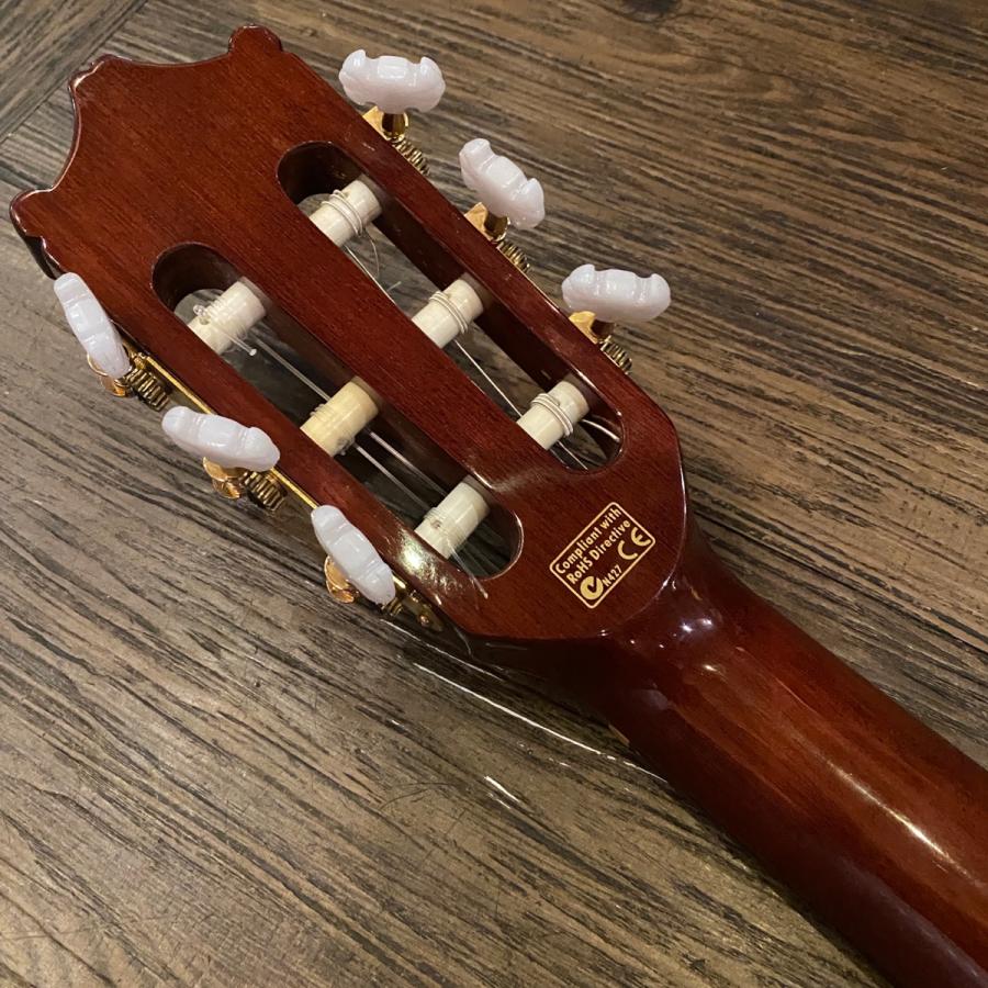 Ibanez（アイバニーズ） Ibanez GA8TCE-NT エレガットギター -GRUN