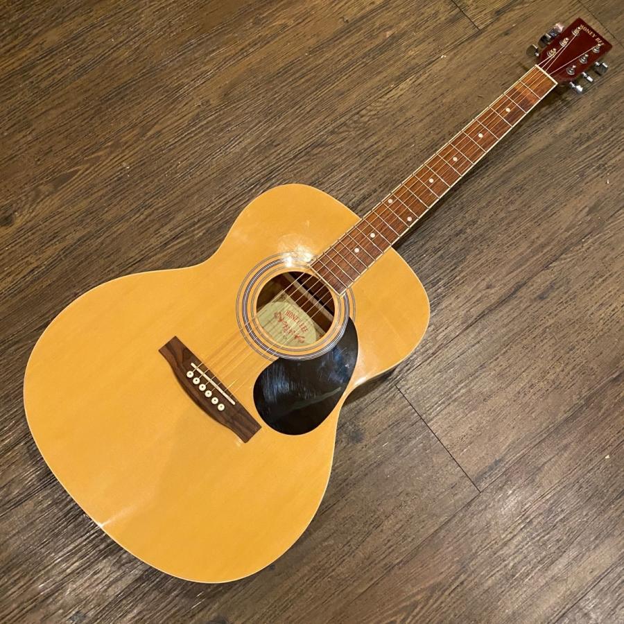 HONEY BEE F-15/N Acoustic Guitar ハニービー アコースティックギター
