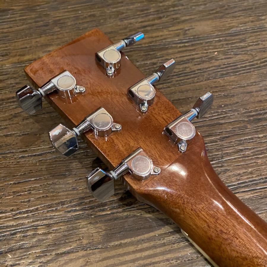 HONEY BEE F-15/N Acoustic Guitar ハニービー アコースティックギター