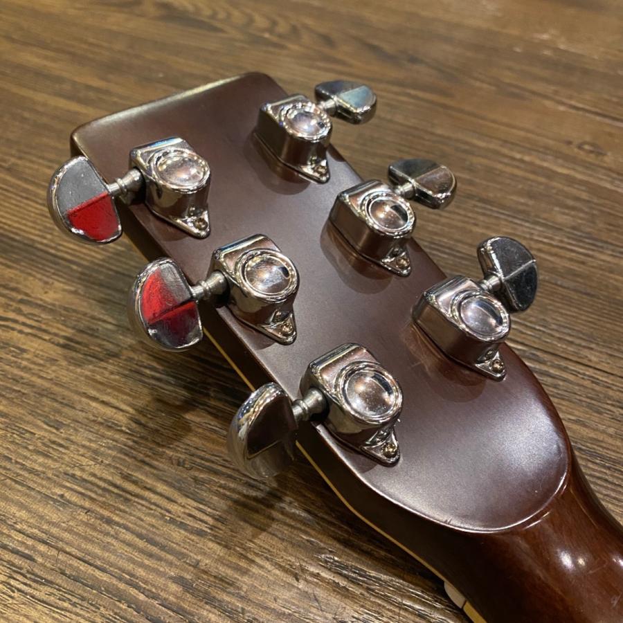 ARIA（アリア） Aria W-20D 1979年 Acoustic Guitar アコースティック