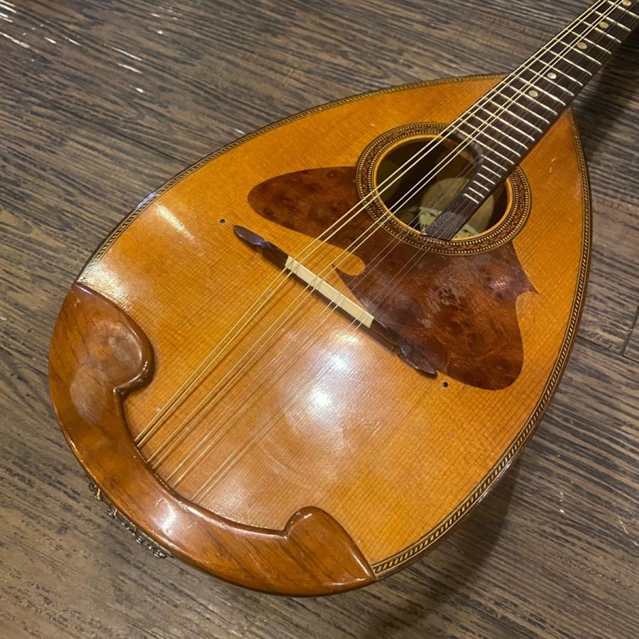 スズキ（SUZUKI） SUZUKI No.228 1969年 Mandolin マンドリン