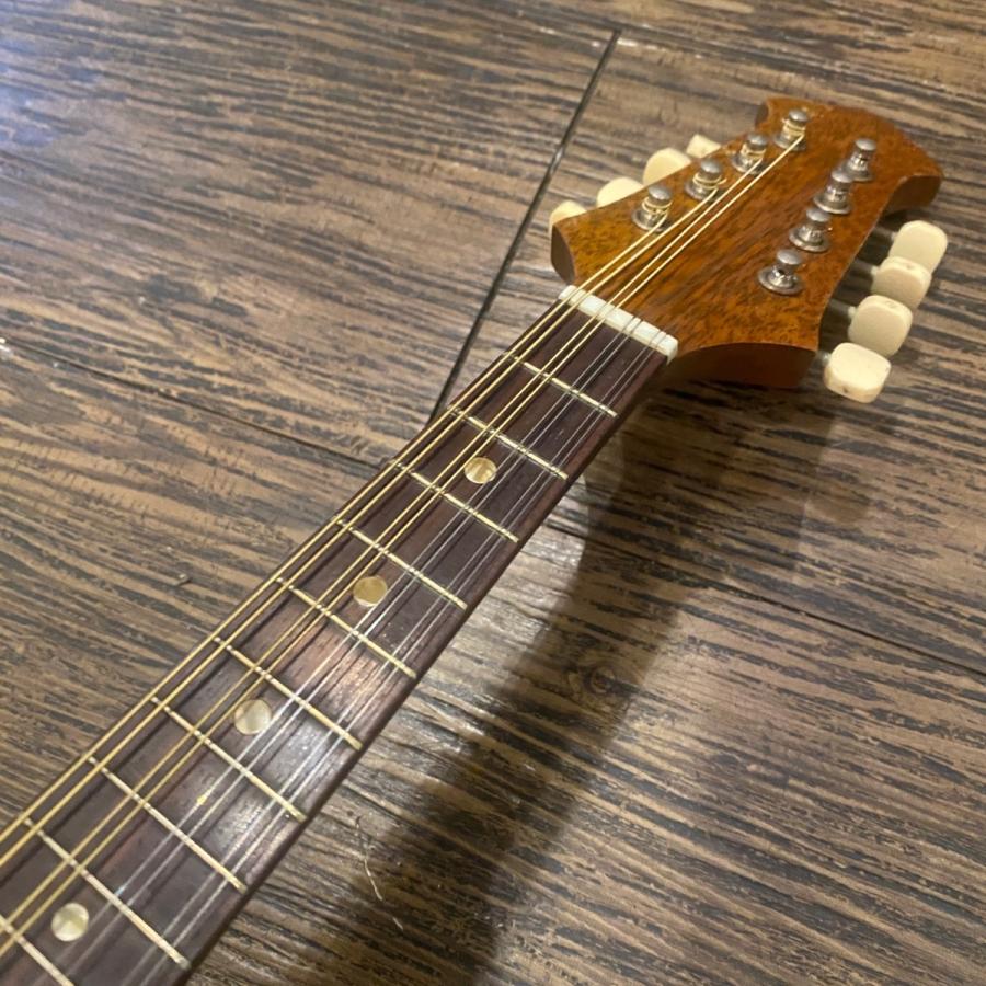 スズキ（SUZUKI） SUZUKI No.228 1969年 Mandolin マンドリン