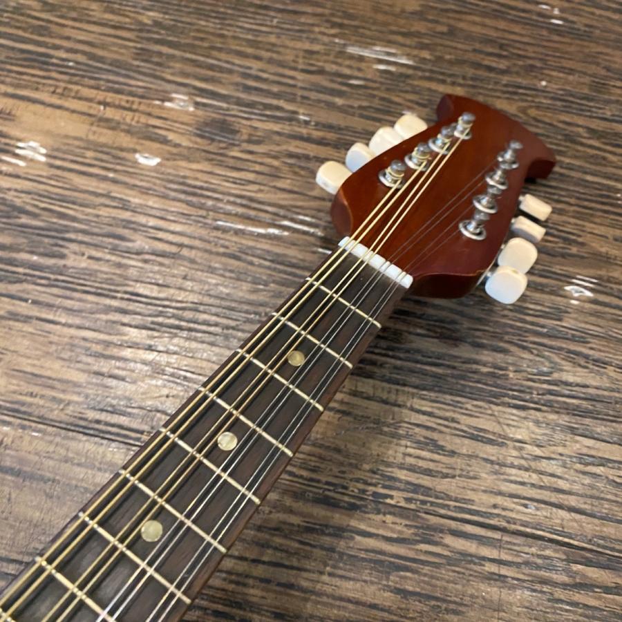 スズキ（SUZUKI） SUZUKI M-210 1974年 Mandolin マンドリン