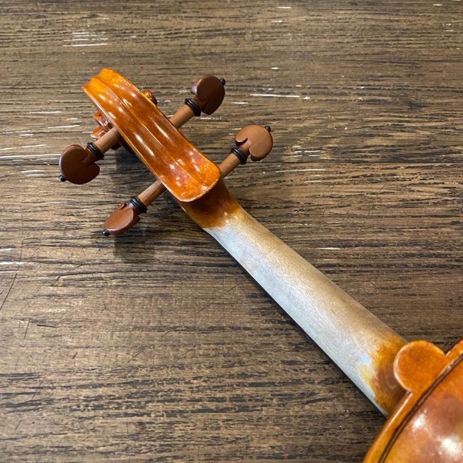 Carlo giordano VS-2 3/4 String Instrument カルロジョルダーノ