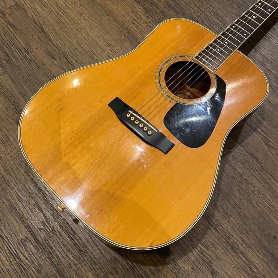 Morris Morris MD-510 Acoustic Guitar アコースティックギター