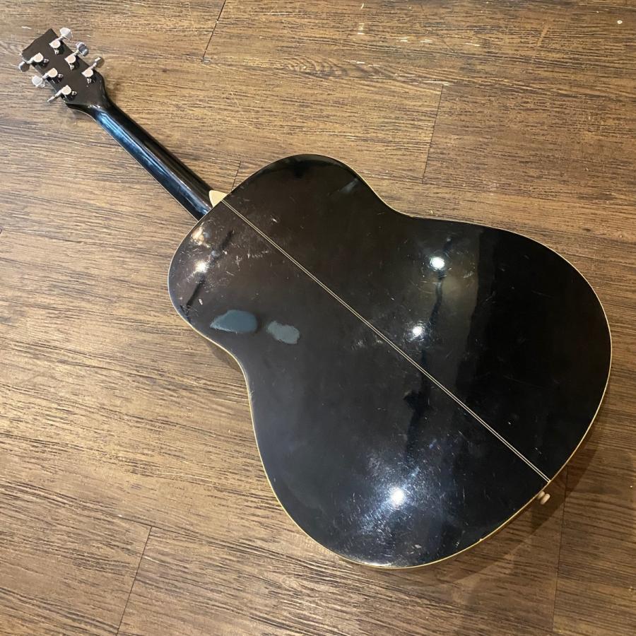 Morris Morris MG-301BK Acoustic Guitar アコースティックギター