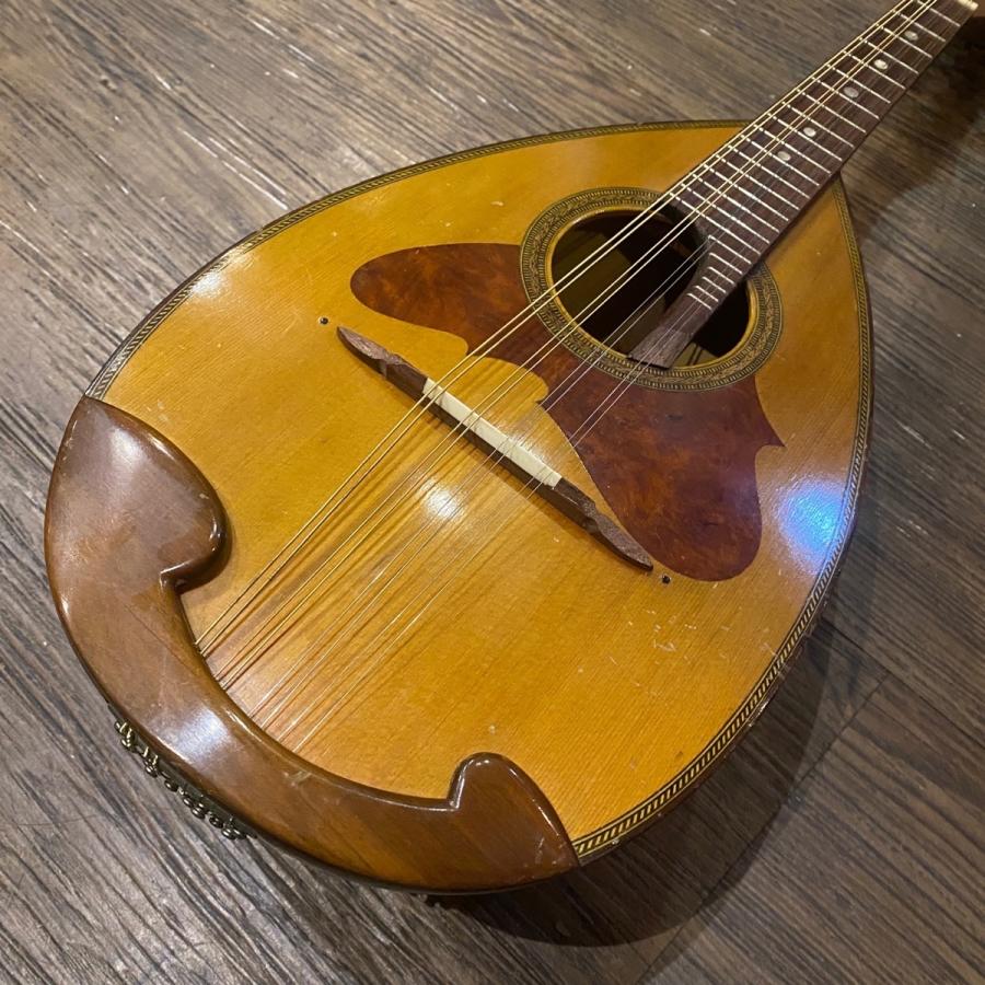 スズキ（SUZUKI） SUZUKI No.228 1969年 Mandolin マンドリン