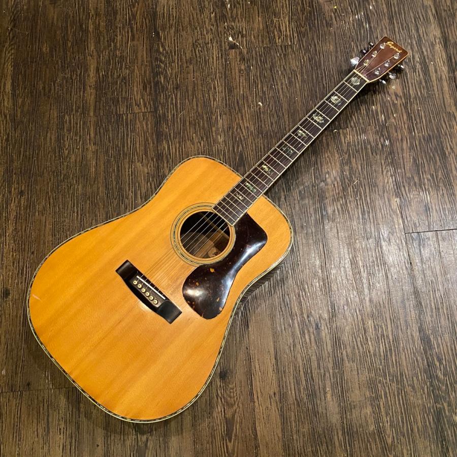Jagard JD-350 Acoustic Guitar アコースティックギター 寺田楽器 現状