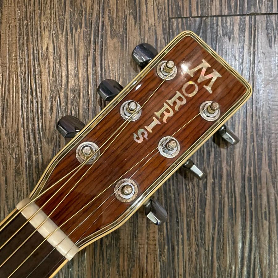 Morris Morris MD-528 Acoustic Guitar アコースティックギター