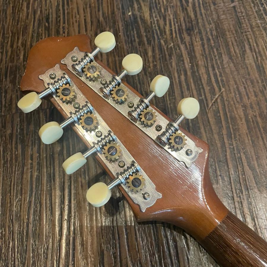 スズキ（SUZUKI） Suzuki No.228 Mandolin マンドリン -GrunSound-z019