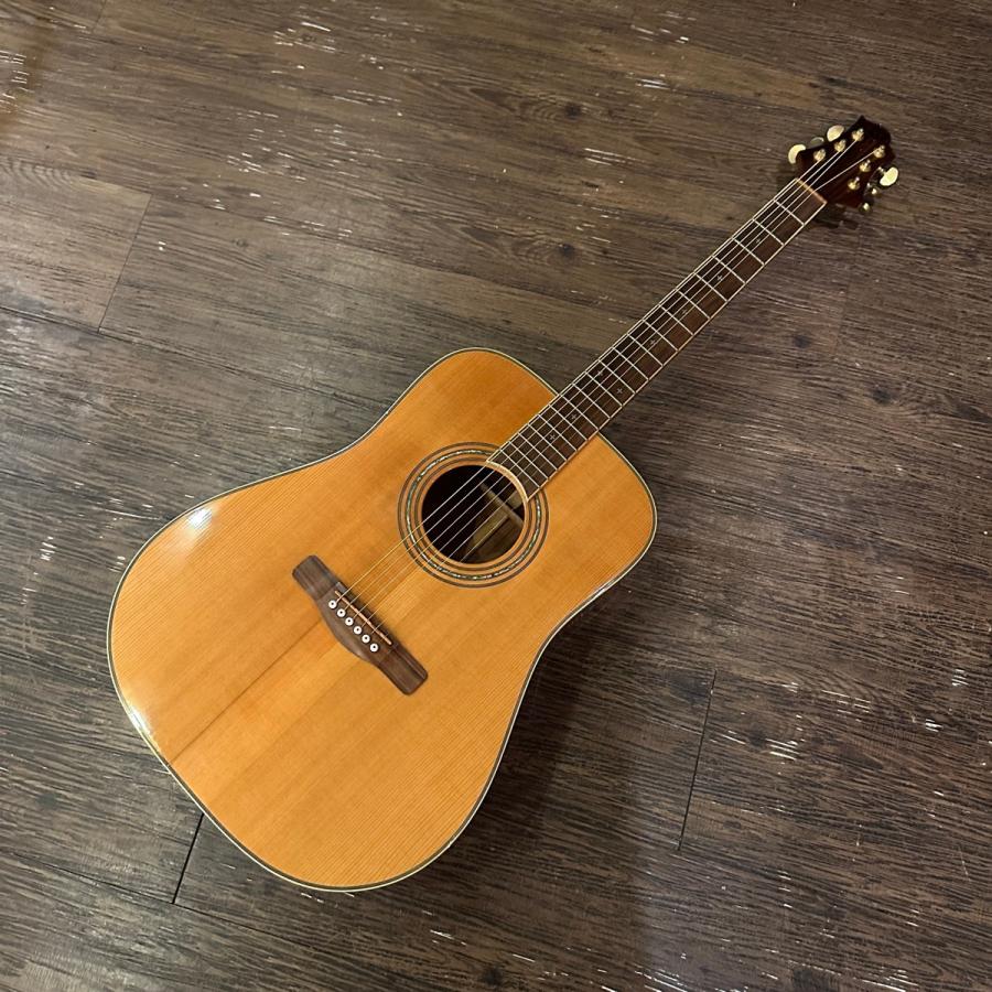 Greg Bennett ASDM ハードケース付き Acoustic Guitar