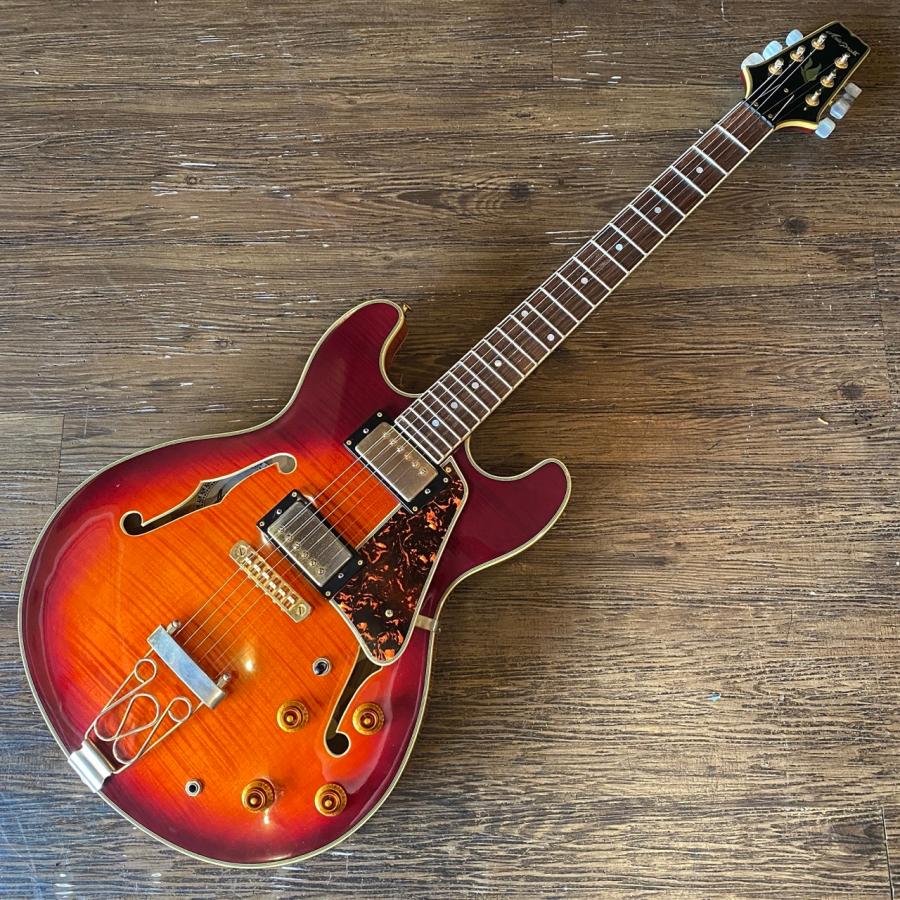 ARIA（アリア） Aria Pro II TA-II Electric Guitar セミアコ エレキ