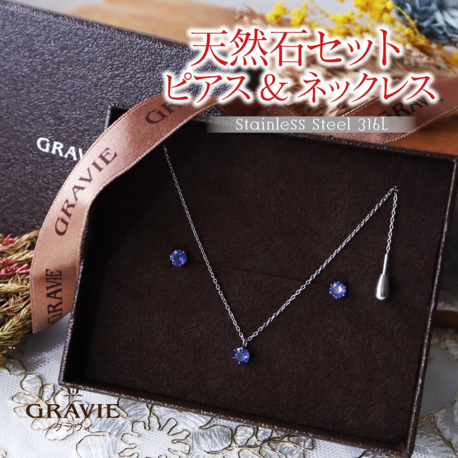 5%OFFクーポン】ネックレス ピアス セット サージカルステンレス 316L