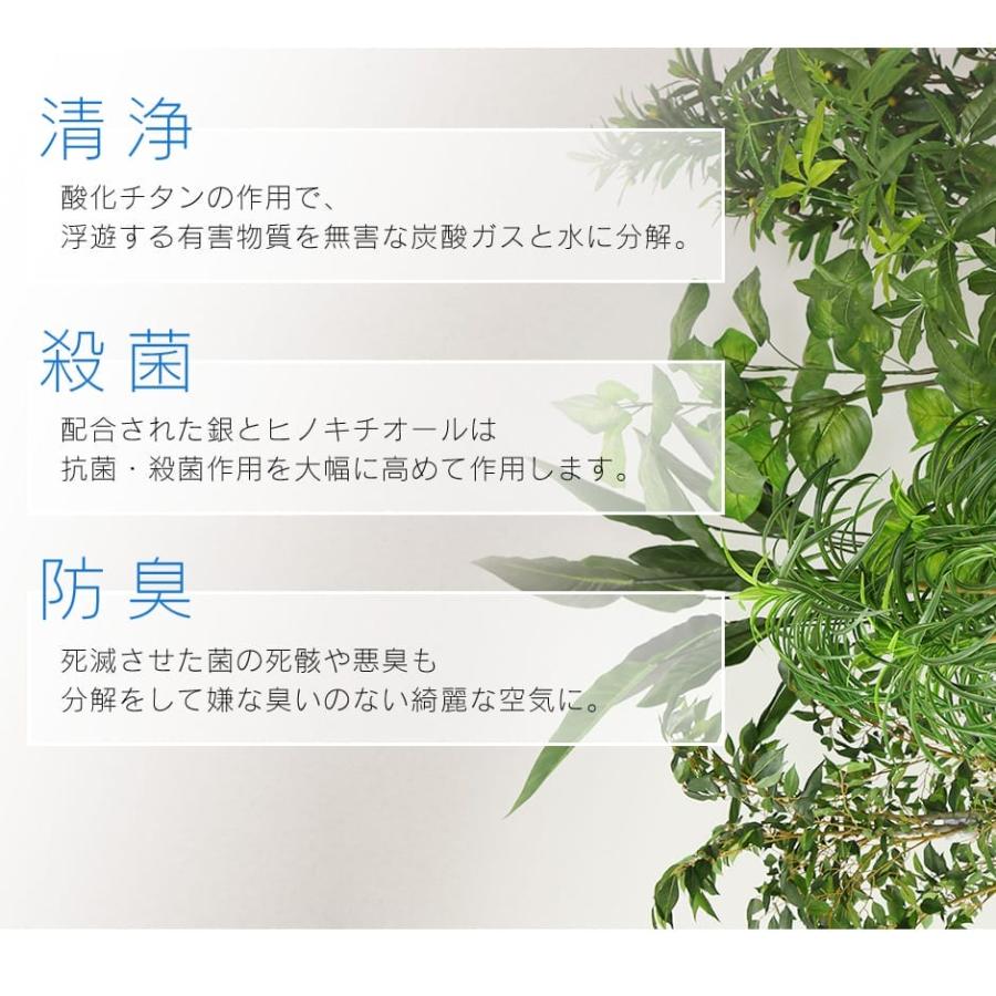 DORIS（ドリス） 人工植物 観葉植物 光触媒 造花 植物 フェイク
