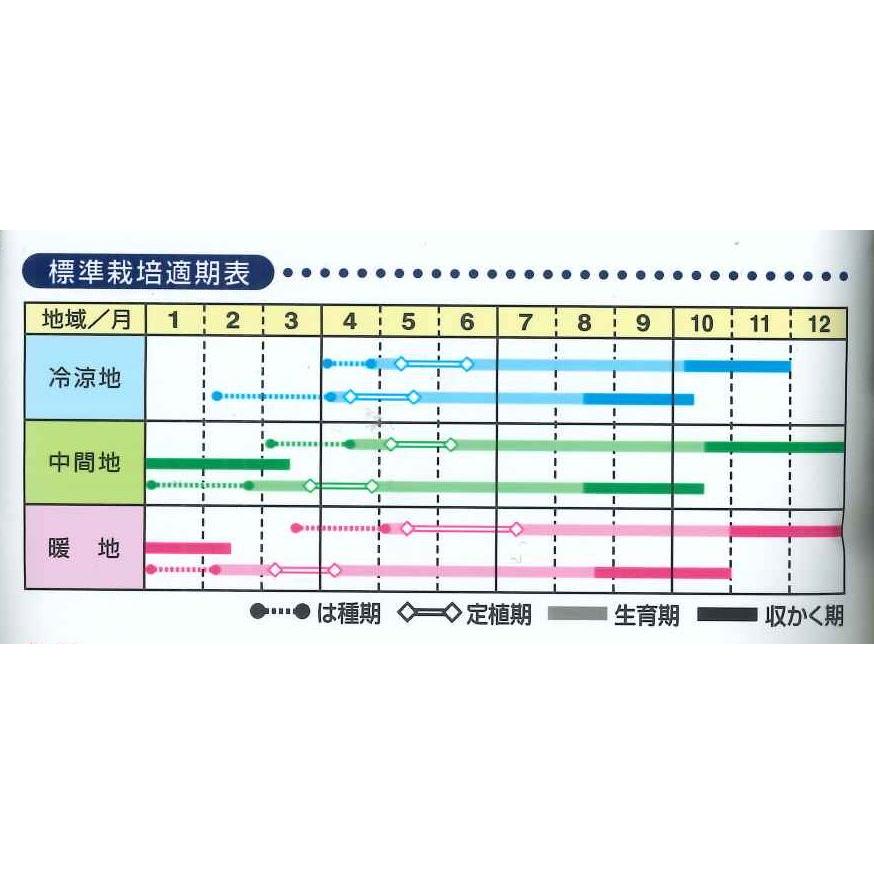 ねぎ 関羽一本太 ペレット種子5千粒 （株）トーホク : グリーンロフト