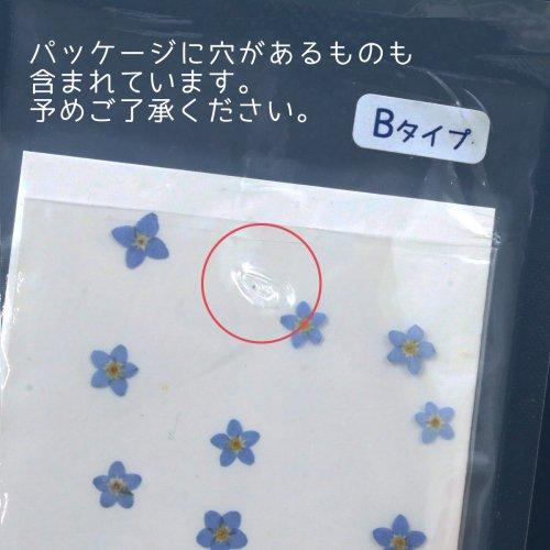 押し花 ワスレナグサ 約12枚 ドライフラワー 花 はな flower 紫