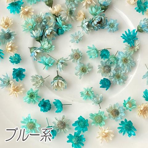 封入 素材 材料 ドライフラワー スターフラワー レジンクラフト レジン