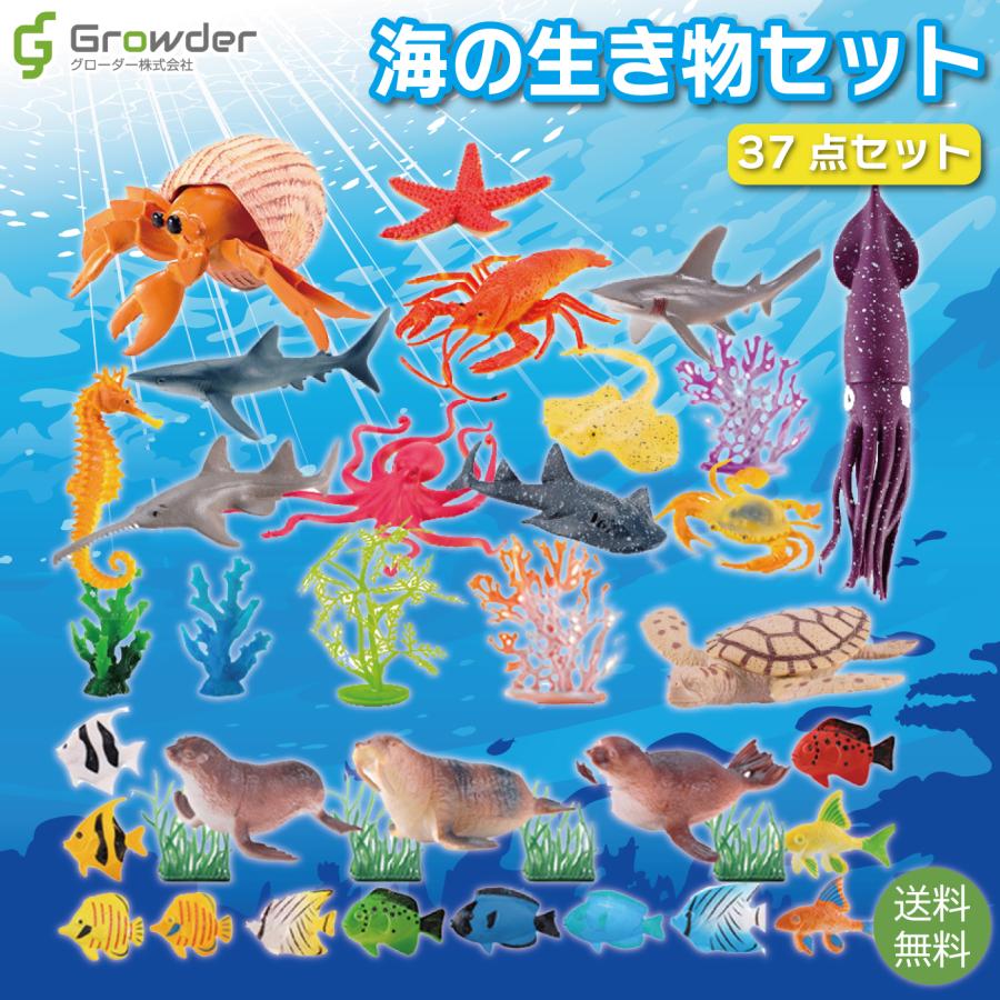 海の生き物 フィギュア 39点 セット 生物 海洋生物 リアル 図鑑 水族館