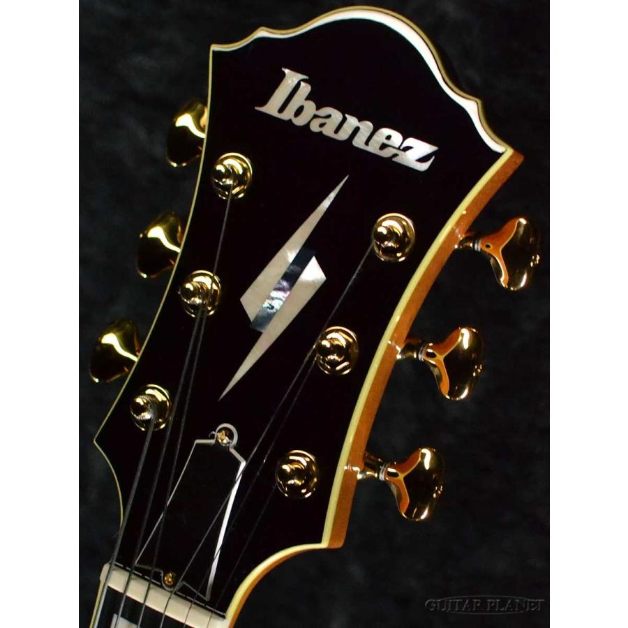 Ibanez（アイバニーズ） Ibanez PM200 -Pat Metheny Signature