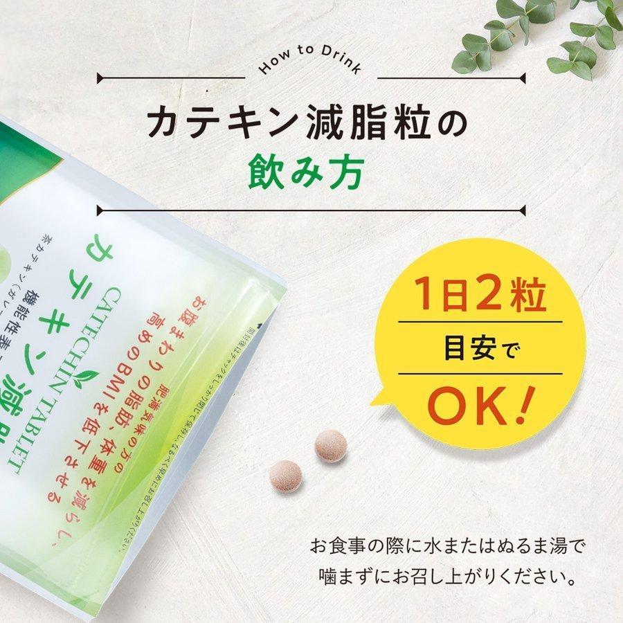 DMJえがお生活 カテキン減脂粒 10袋セット 15%OFF DMJえがお生活 31日