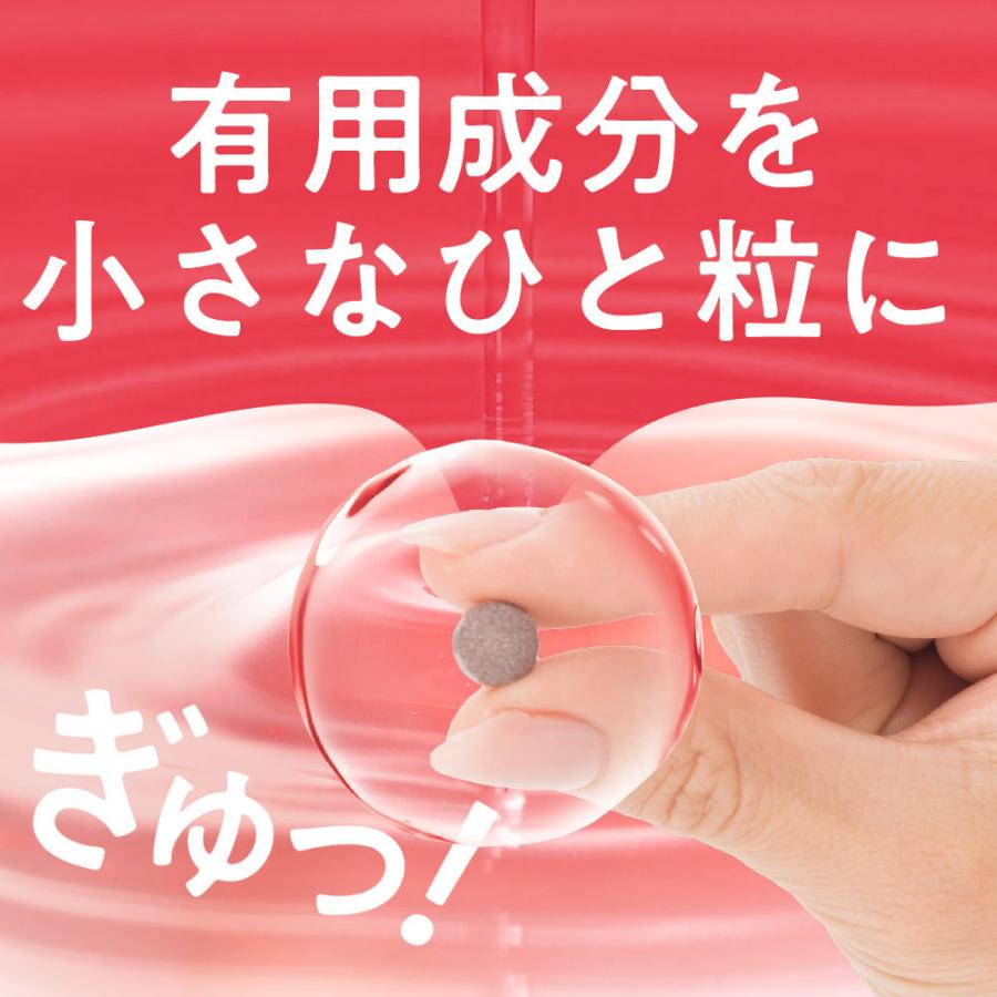 DMJえがお生活 カテキン減脂粒 6袋セット 10%OFF DMJえがお生活 31日分