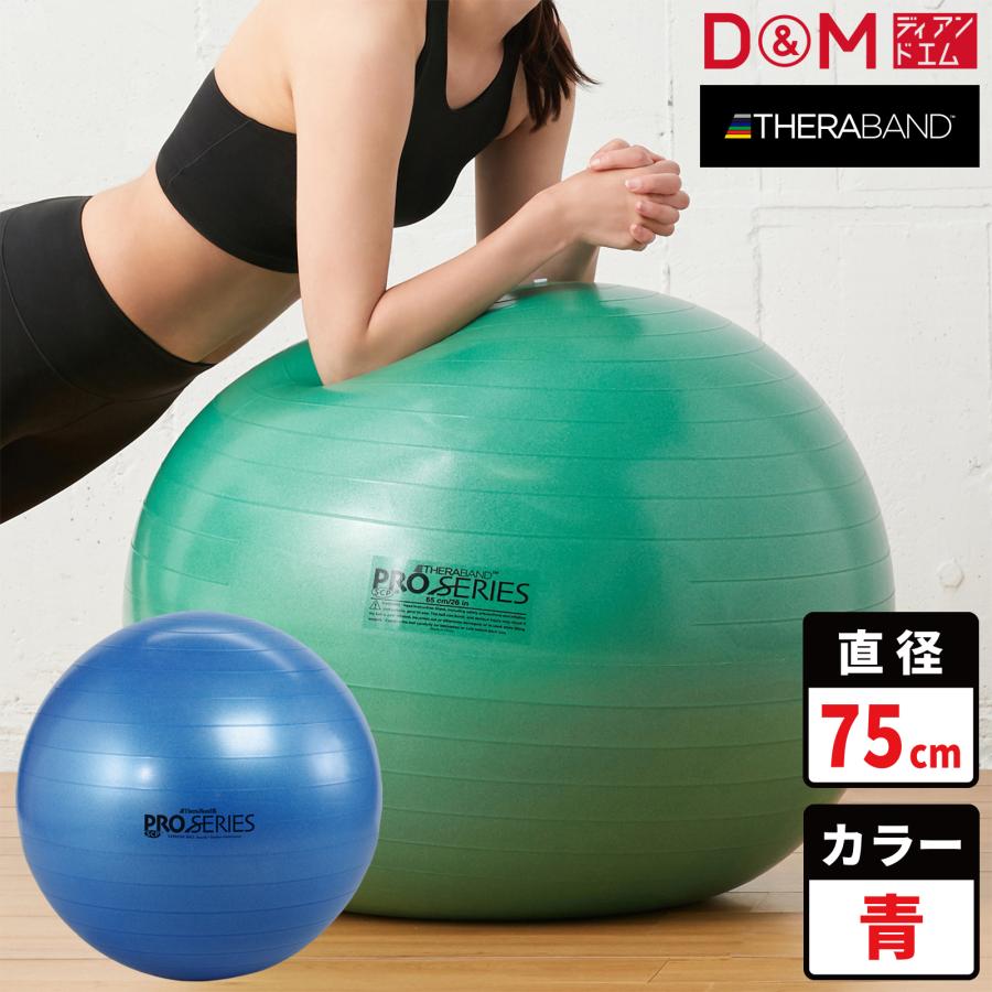 D&M エクササイズボール バランスボール トレーニング用 体幹 リハビリ