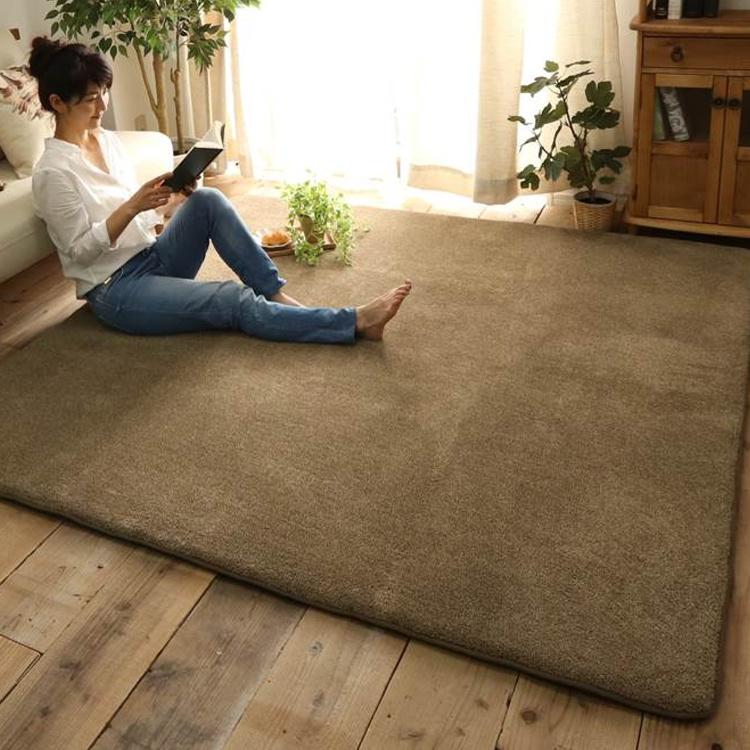 ラグ カーペット 3畳 洗える 厚手 春用 ラグマット 190×240 極厚 じゅ