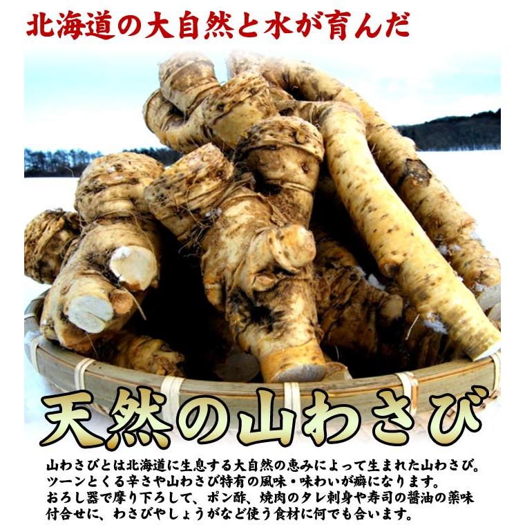 山わさび 北海道産 蝦夷山わさび 西洋わさび 300g 送料無料沖縄は送料