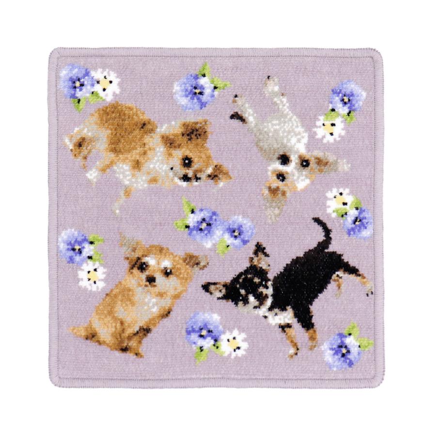 cococi wanko チワワ シェニール織タオルハンカチ : DollHouse - 通販