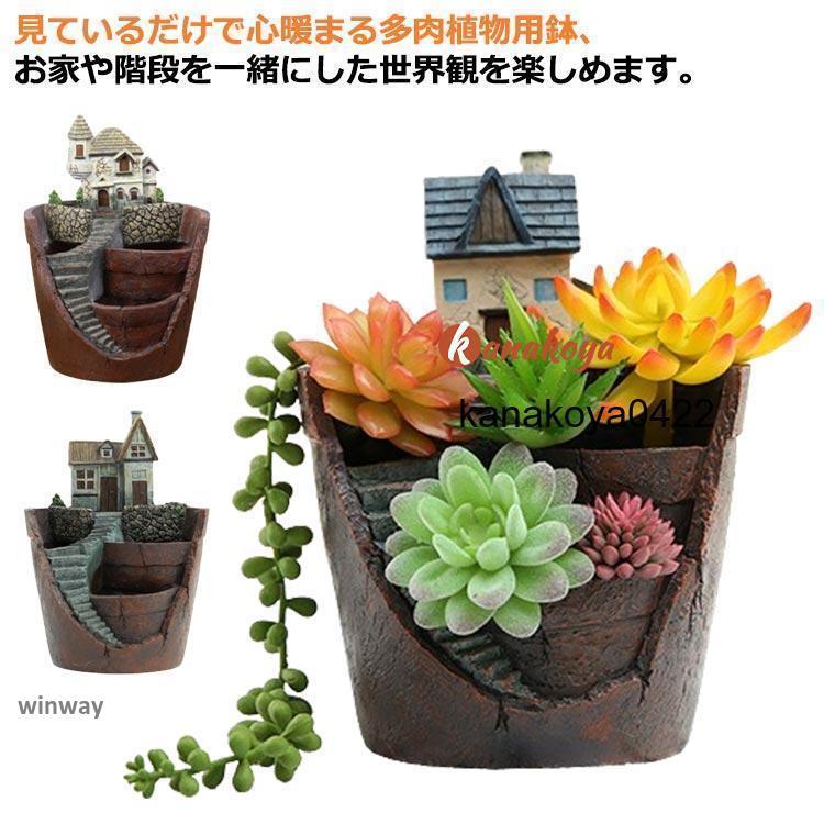 ハオルチア 母の日 植本鉢 多肉植物 寄せ植 ギフト 鉢 お城 プレゼント