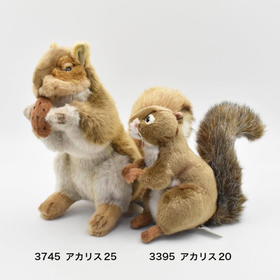 HANSA BH3395 アカリス りす 栗鼠 ぬいぐるみ リアル : Dear Bear WEB