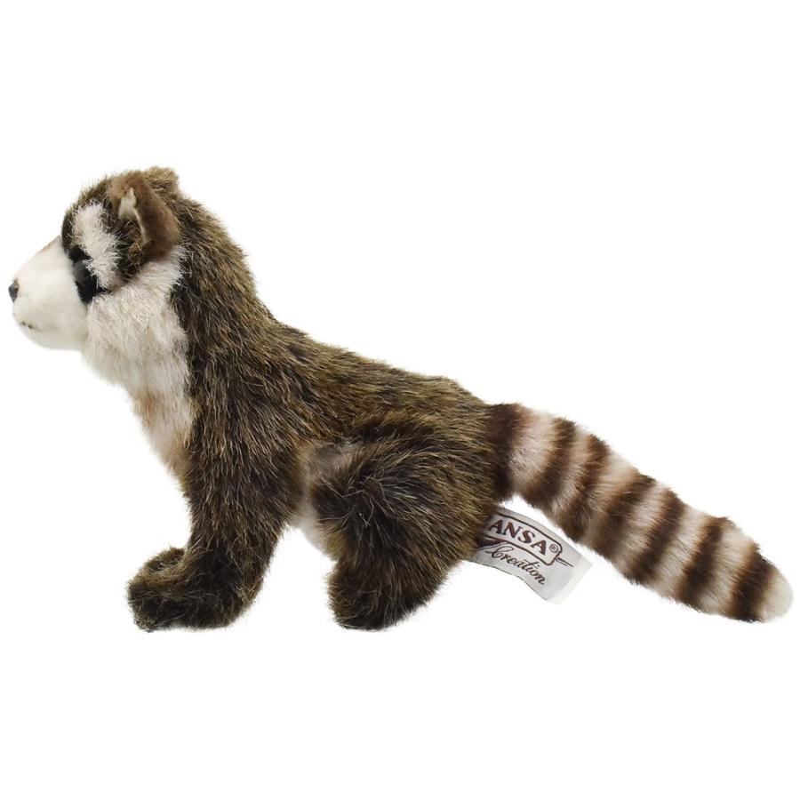 HANSA BH2649 アライグマ あらいぐま くま ぬいぐるみ リアル : Dear