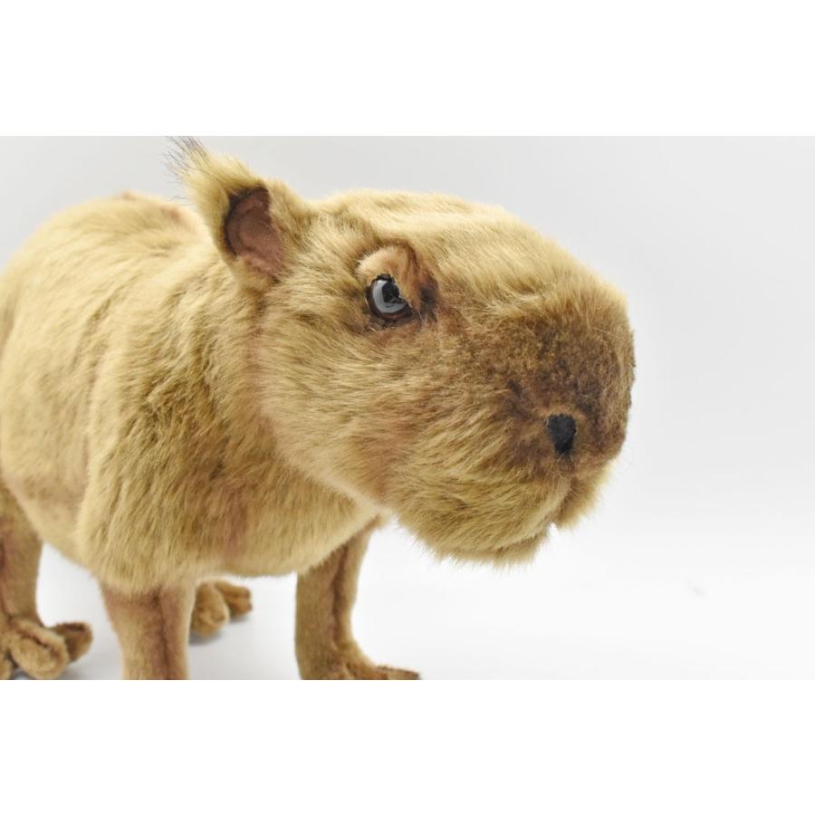 HANSA BH5125 カピバラ かぴばら 水豚 ぬいぐるみ リアル : Dear Bear