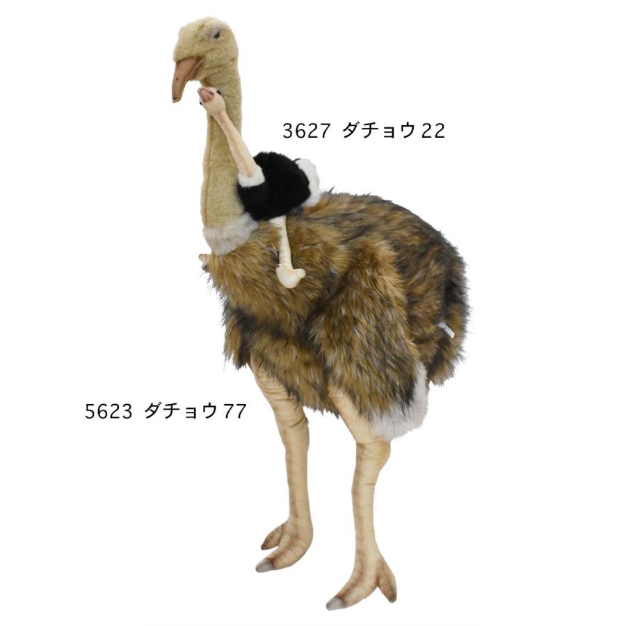 HANSA BH5623 ダチョウ 駝鳥 だちょう とり トリ 鳥 ぬいぐるみ リアル