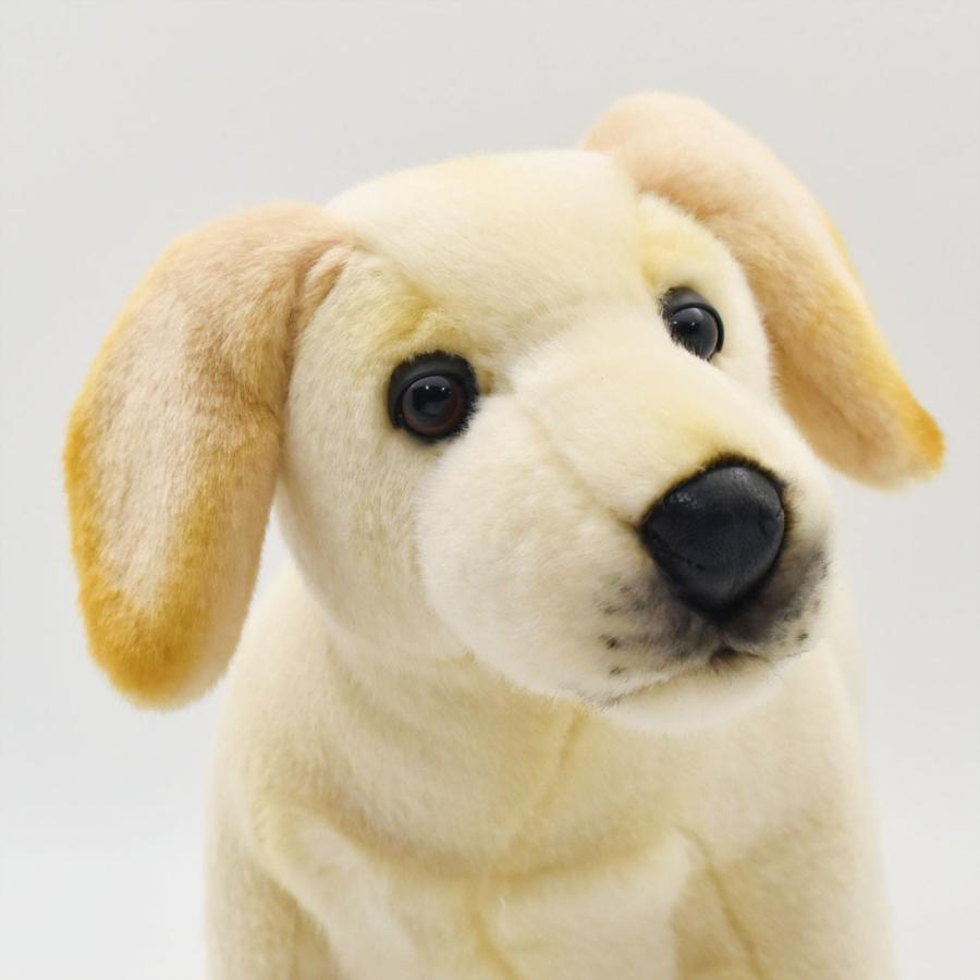 HANSA BH4713 ラブラドール 仔 らぶらどーる いぬ イヌ 犬 こども 子供