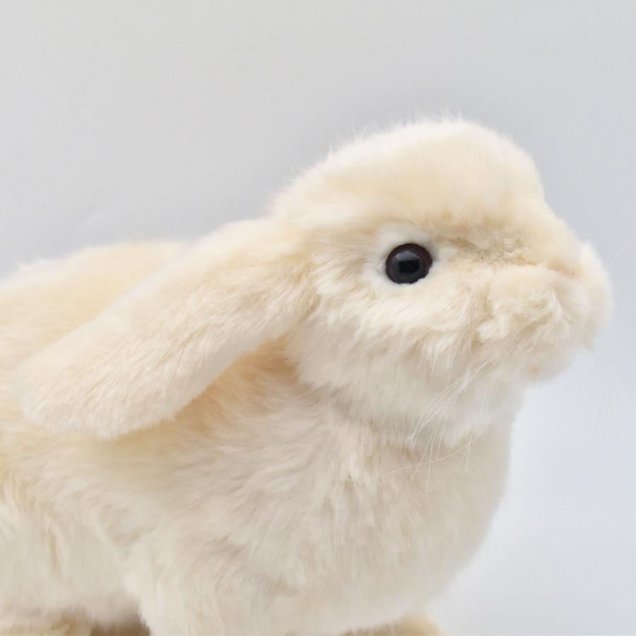 HANSA BH7024 ホーランドロップ ほーらんどろっぷ うさぎ 兎