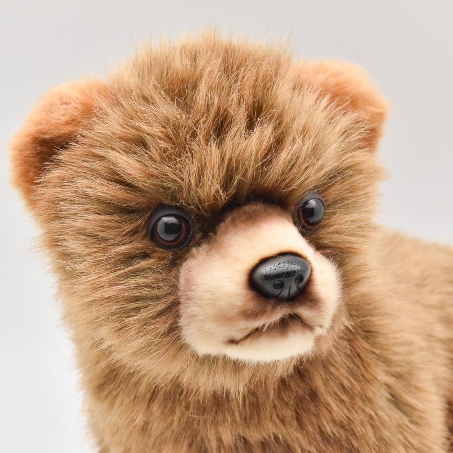 HANSA BH7037 クマ 仔 くま 熊 こども 子供 ぬいぐるみ リアル : Dear