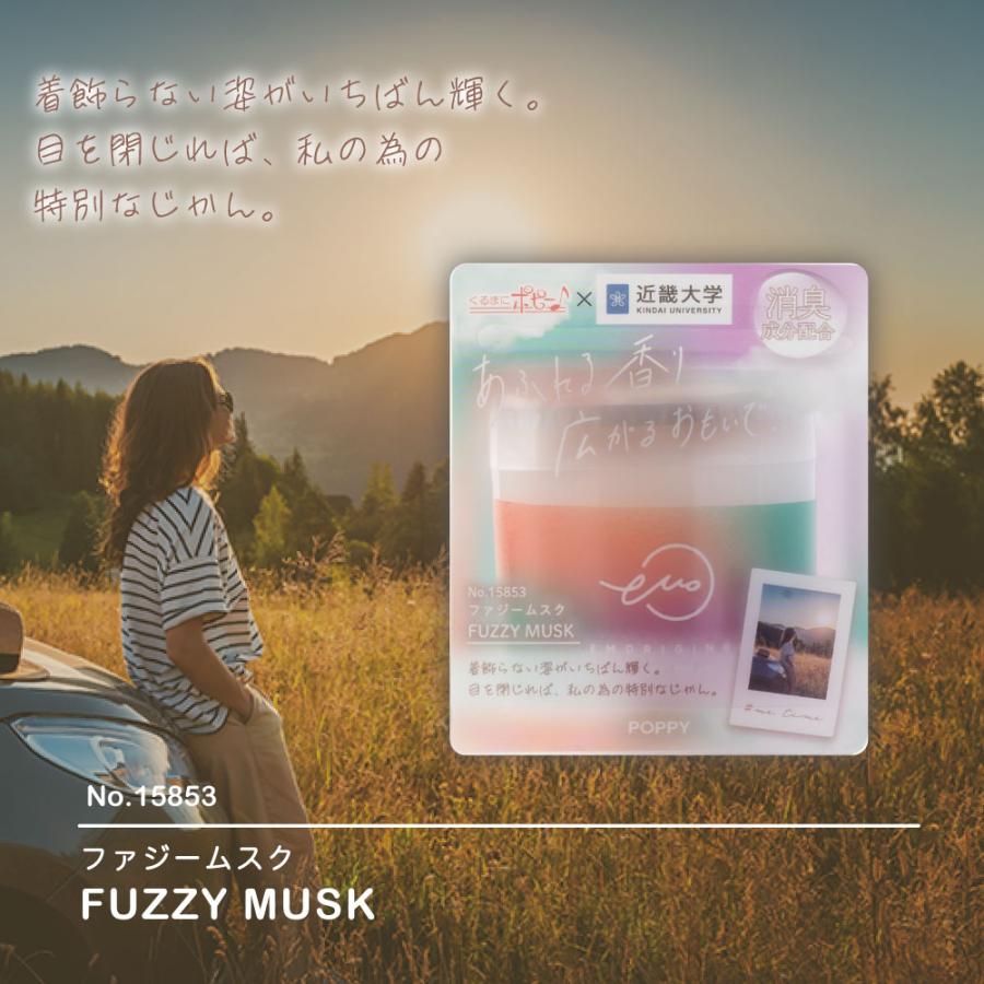 ダイヤケミカル エモリジナルゲル(EMORIGINAL GEL) ファジームスク 車