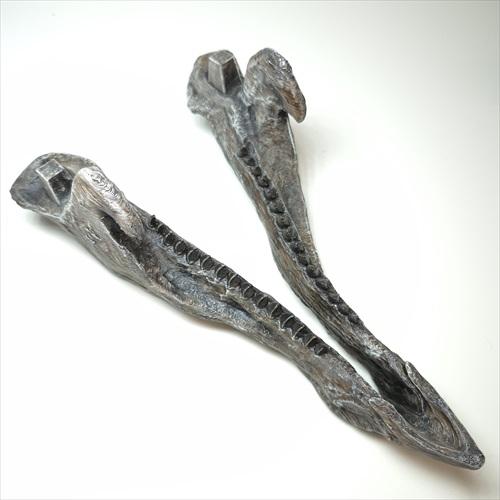 トリケラトプス 頭骨 化石 レプリカ 約 350mm プレゼント ギフト tcr1