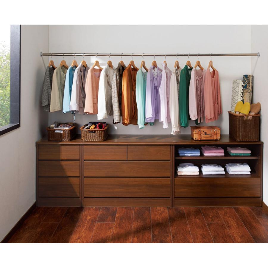 dinos（ディノス） ≪幅60奥行35高さ58cm≫ クローゼットスペースを