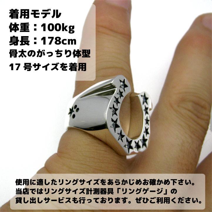 CZストーンホースシューリング シルバー925,ジルコニア【ring-580-R52