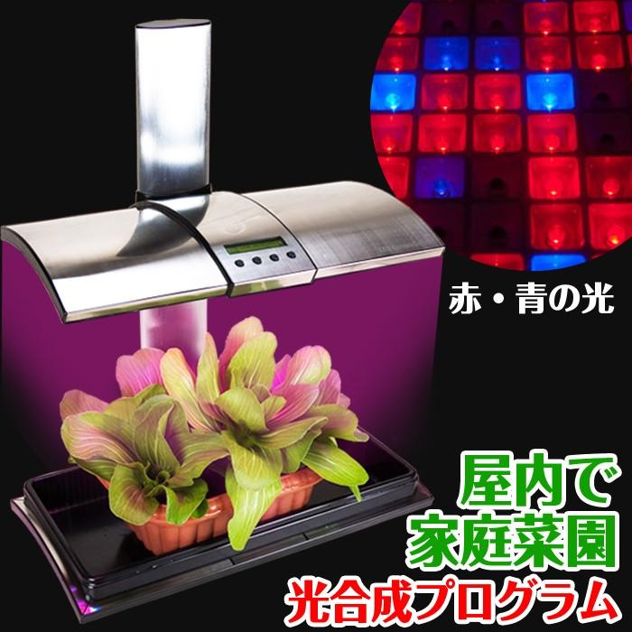 水耕栽培キット 植物育成 LEDライト付 吊下げ用チェーン ワイヤー