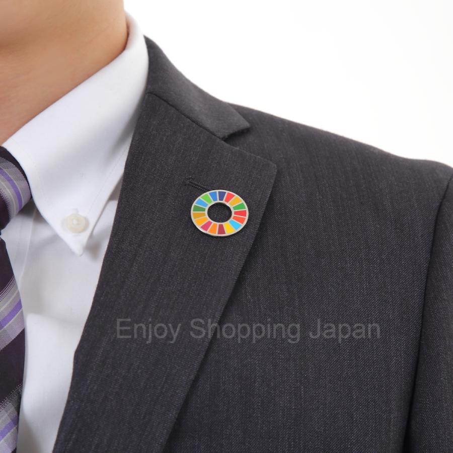 SDGs バッジ 本物 ピンバッジ 2種類 正規品 国連本部限定 丸み型と平ら