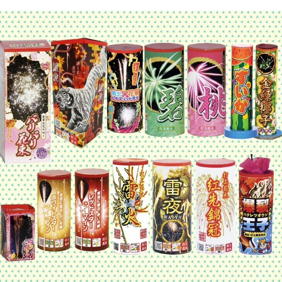 No.3 送料無料！打ち上げ花火セット2025（14本入） : eおもちゃやさん