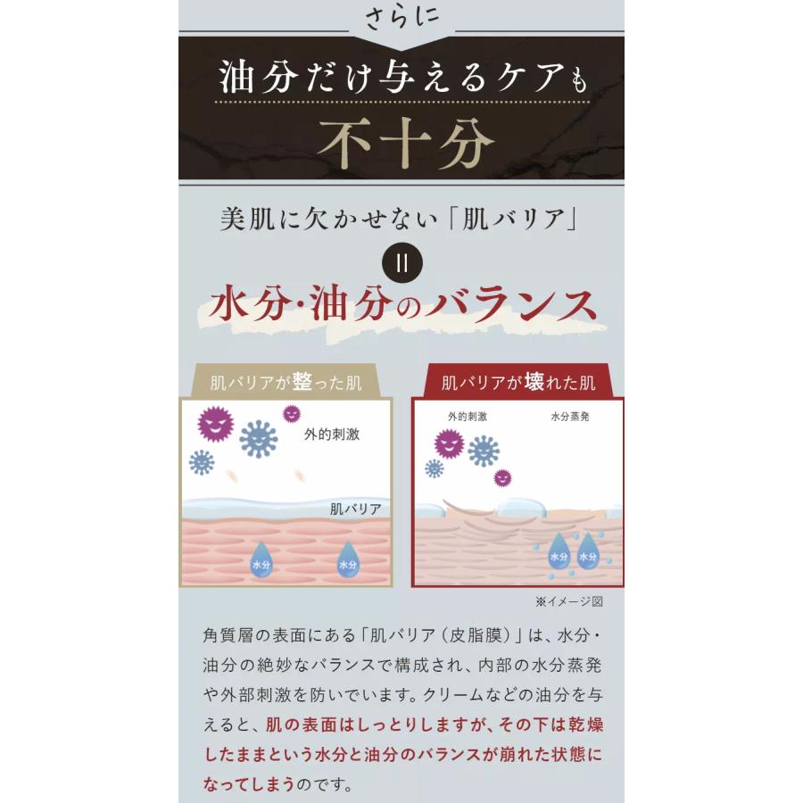 アクシリオ アクアテクトゲル 250g 【アースケア公式】 化粧水・美容液