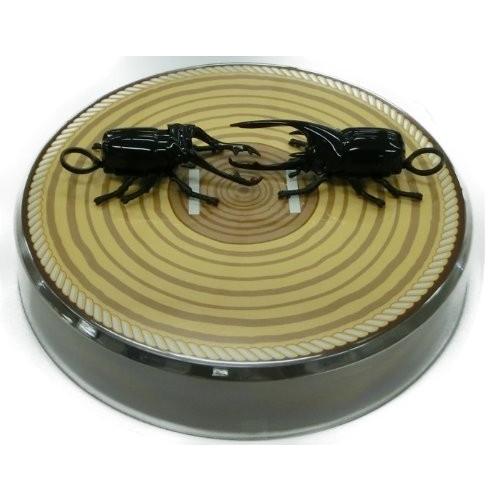 甲虫王者ムシキング ムシキングバトルセット : East SUN - 通販