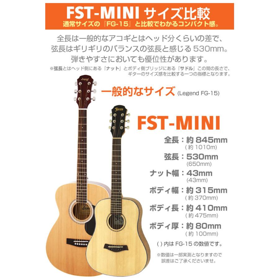 ミニギター アコギ ミニ アコースティックギター 初心者 入門 13点