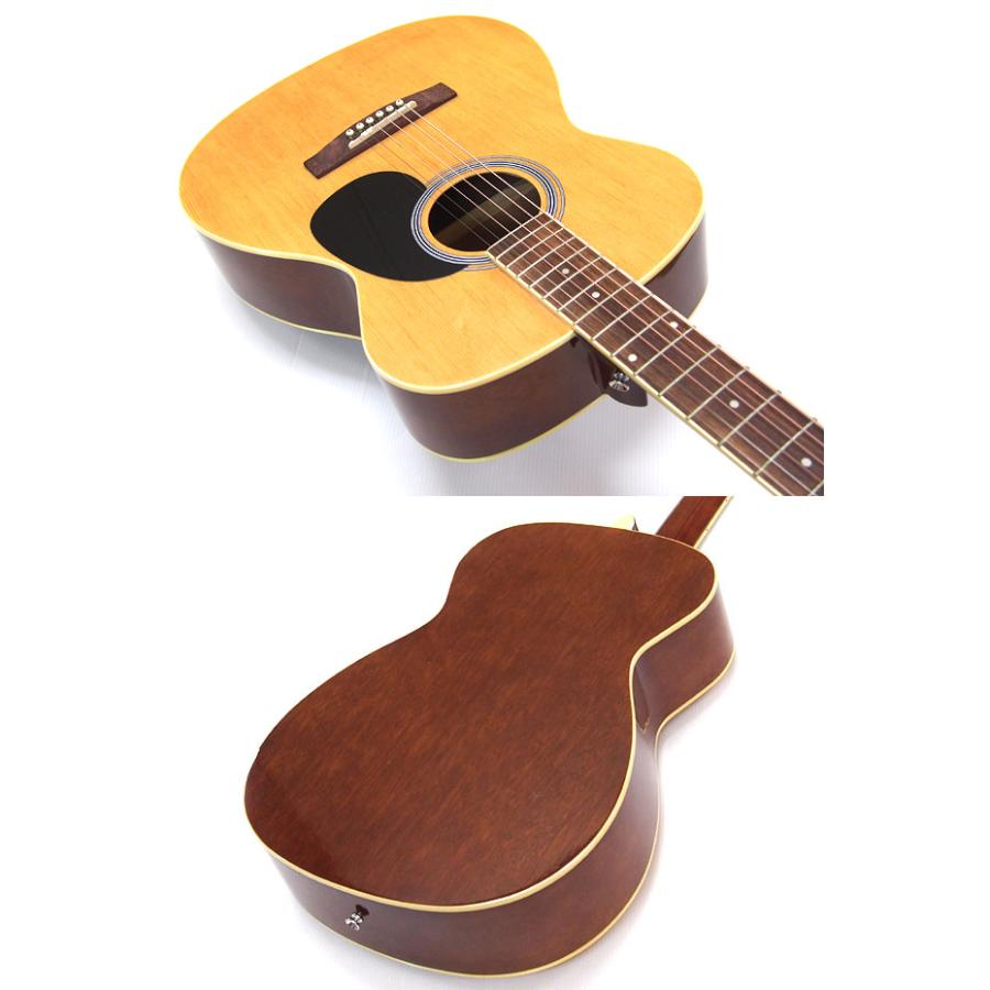 ARIA（アリア） アコースティックギター アコギ 初心者 超入門 9点